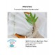 Mooroo Premium Bamboo Handkerchief (5pcs)