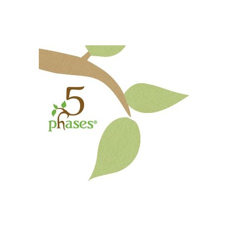 5 Phase